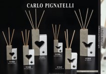 Pignatelli-2018-022