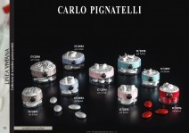 Pignatelli-2018-059